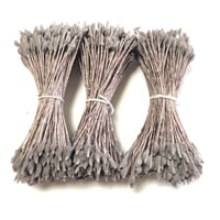 茨ペップ　大　焦茶　3束/1袋