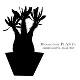 Bloomsbury PLANTS