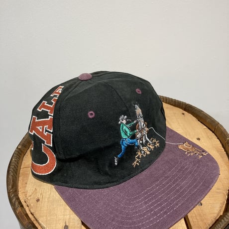 EMBROILED ROPER CAP