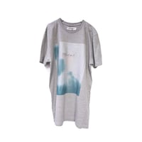 SKIN graphic T-shirt gray L 23-06-06 [lilith art duct]