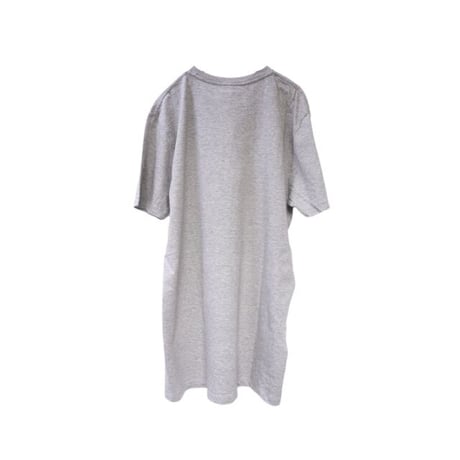 SKIN graphic T-shirt gray L 23-06-06 [lilith art duct]