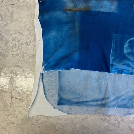 Cyanotype no sleeve (A) 23-01-07 [Pull Qus]