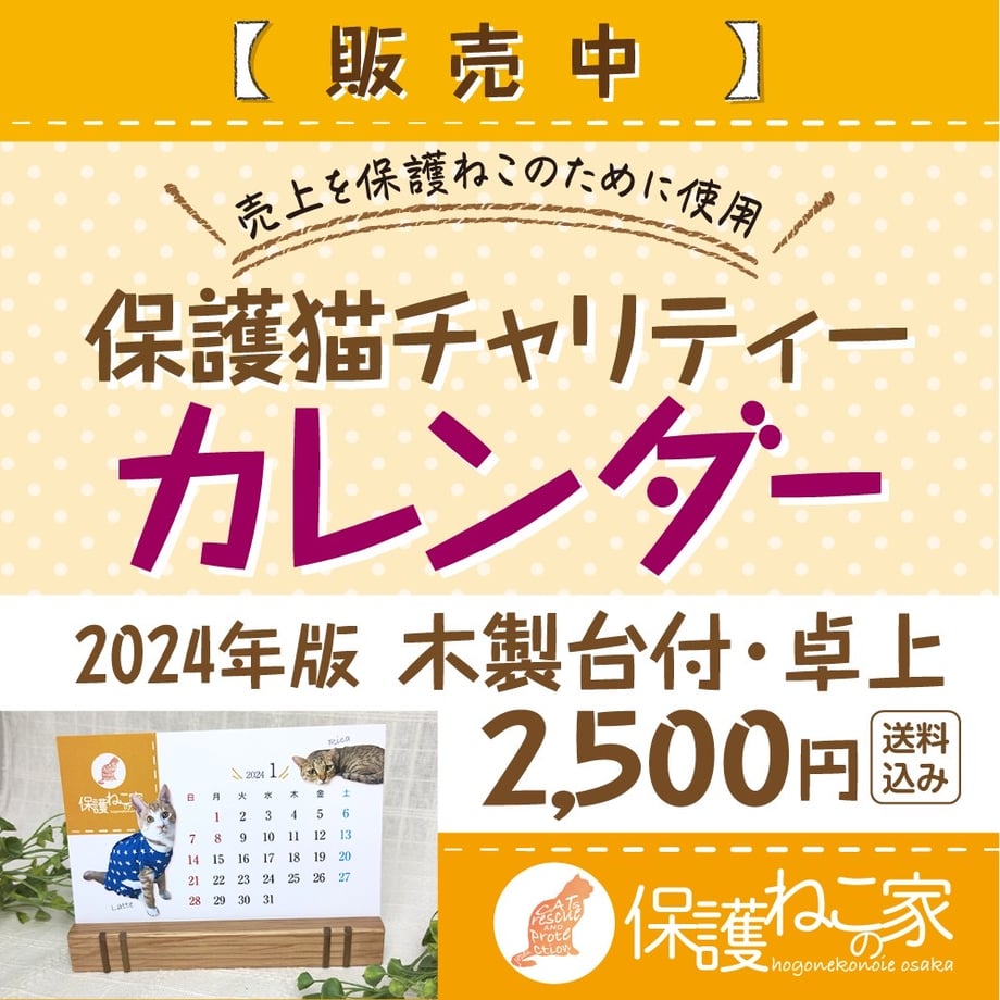 654cebca720e98002b6124b6