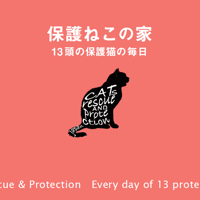 保護ねこの家サポート