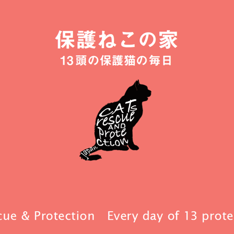 保護ねこの家サポート | 保護ねこの家SHOP