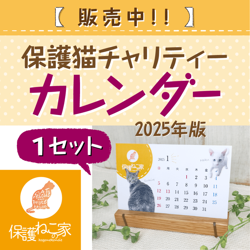 5名様限定！レインカバー！ココハート 甘えん坊バギーミディアム