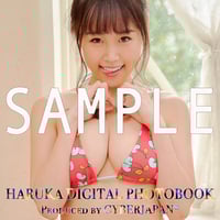 HARUKA DIGITAL PHOTO BOOK（デジタル写真集）Vol.2