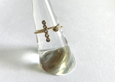 Stardust on the planet ring