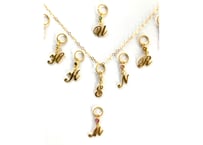 Initial charm