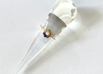 Circle of life Ring