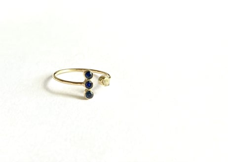 Moon on the planet ring
