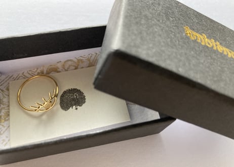 Open your eye Ring / just gold