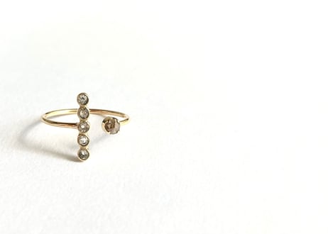 Stardust on the planet ring
