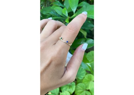 Rainbow spacecraft Ring