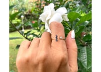 Moon on the planet ring