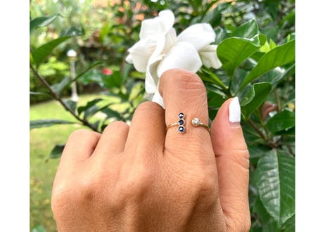 Moon on the planet ring