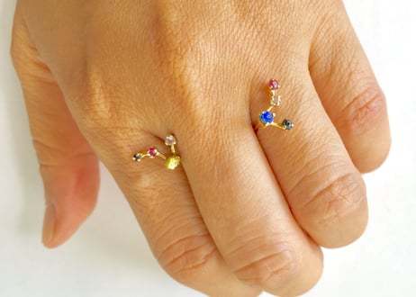 Zodiac 4stones pierce