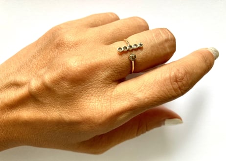 Stardust on the planet ring