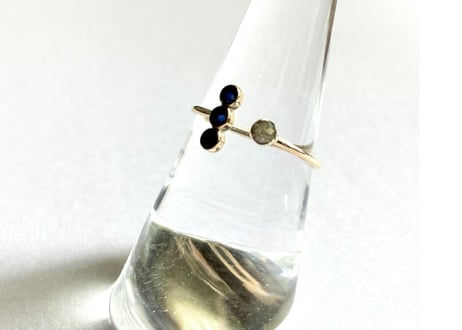 Moon on the planet ring