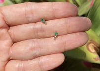 Emerald stardust pierced earring