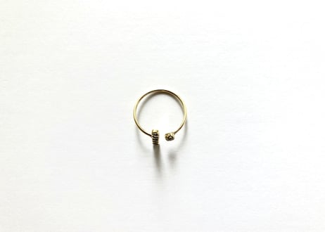 Stardust on the planet ring