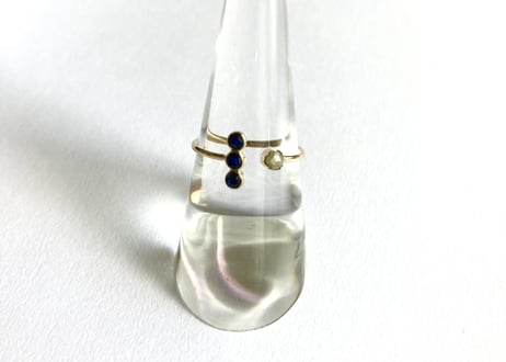 Moon on the planet ring