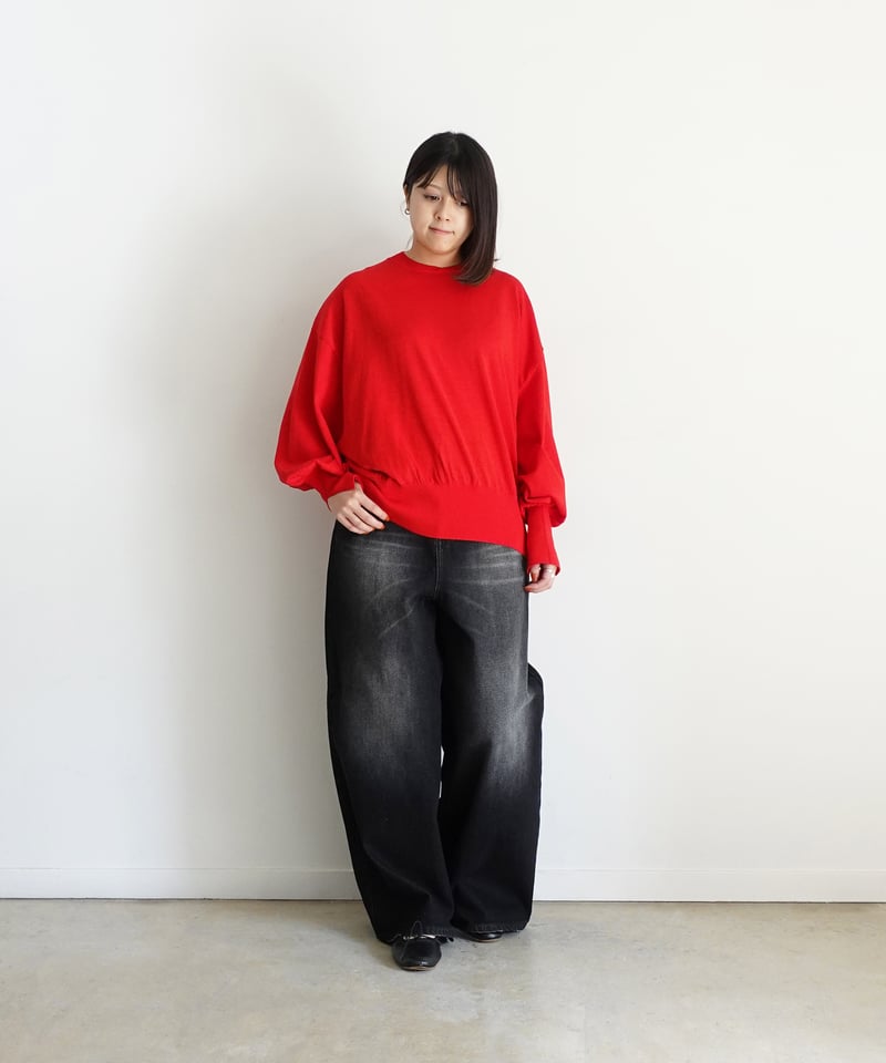 i c h i 230430 DENIM Wide Pants / D : BLACK・2
