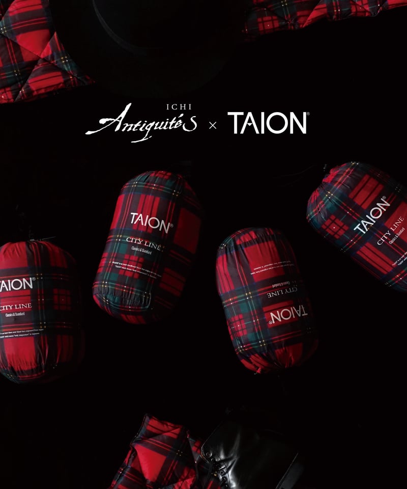 ICHI Antiquites×TAION Down Skirt ダウンスカート LIMITED COLLAB 】ichiAntiquités×TAION 1000396