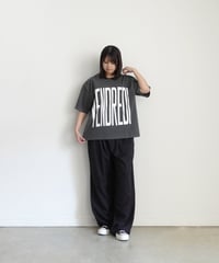 i c h i  251153  "VENDREDI / LAFIN" Pigment Over T Shirt / 2 COLORS