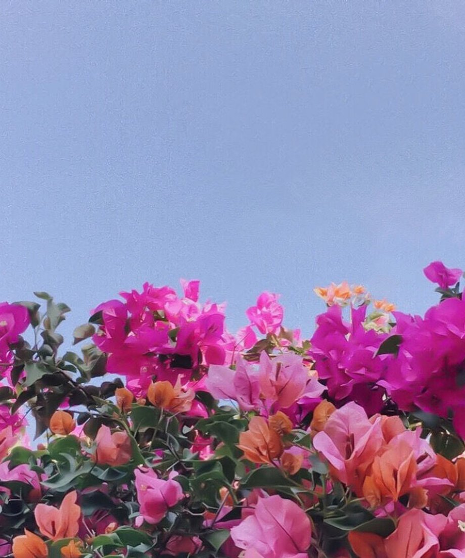 62d8b9224ba8b47b7e550d13