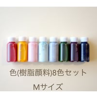 樹脂顔料の８色セット【Mサイズ】