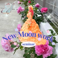 【氷見】２０２４年５月８日水曜日 NewMoon WorkSeminar