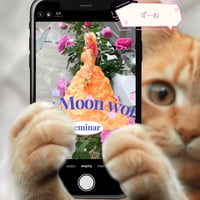 【zoom配信】２０２４年５月８日水曜日 NewMoon WorkSeminar