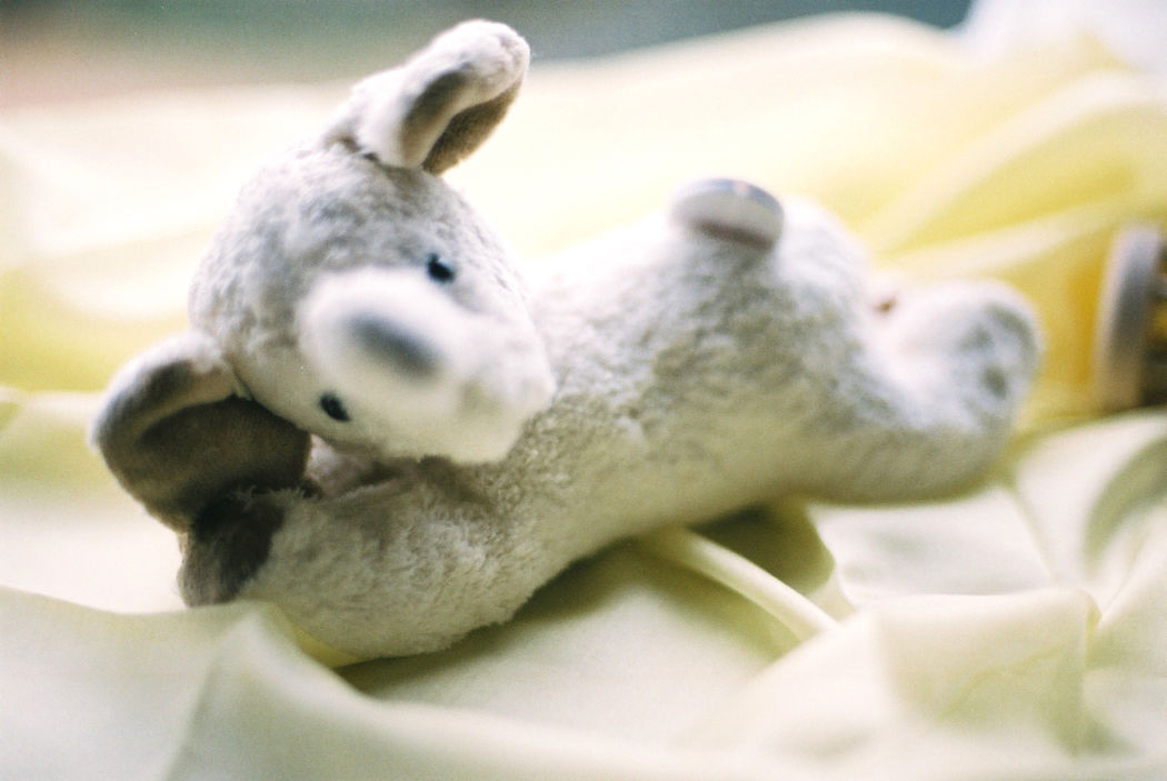 激レア】風と共に去りぬオルゴール＋本棚で眠る猫ちゃんオルゴール