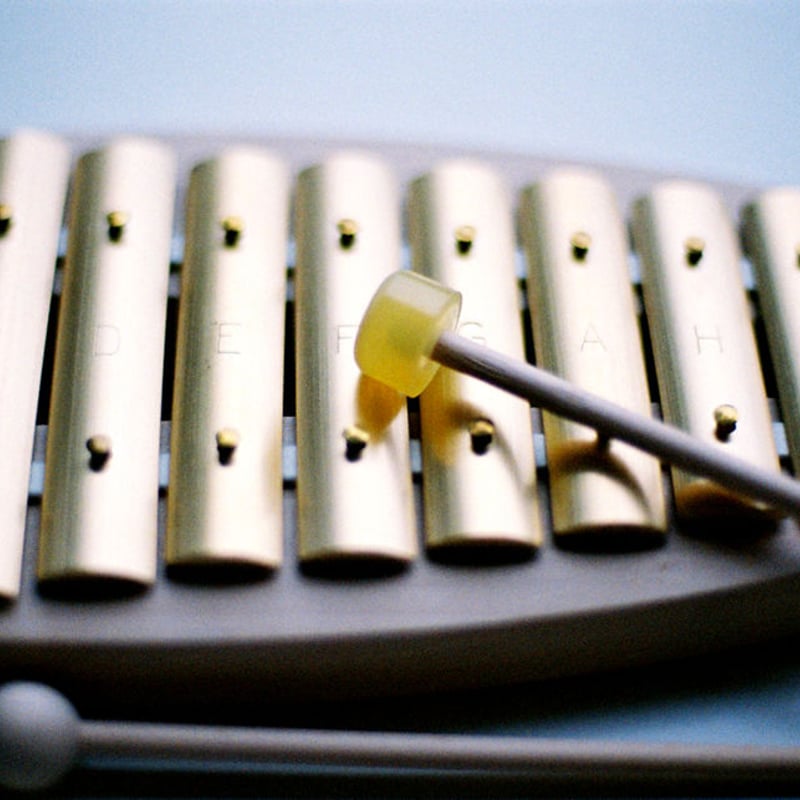 シュルズグロッケン　ダイヤトニック8音 シェルズグロッケン ダイヤトニック8音：おもちゃ：百町森