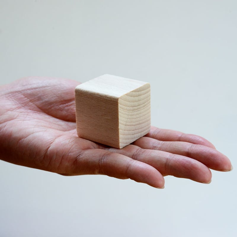 値下げ！フレーベル積み木　大(2ピースだけかけている) e-interia_dusyma-s