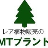 植物販売のMTプラント