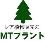 植物販売のMTプラント