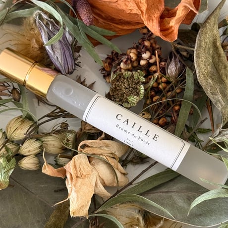 [CAILLE] ✴︎un moment