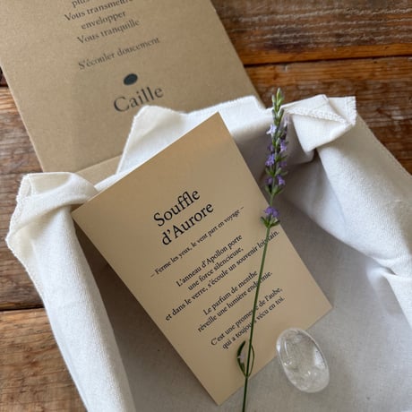 ✴︎ Souffle d’Aurore