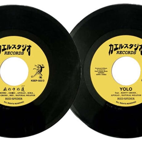 CATEGORY ・RECORD / VYNAL | ZION GATE