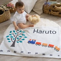 出産祝い 春夏も快適な通年用素材 身長計付き 名前入りブランケット ロコモーティブ