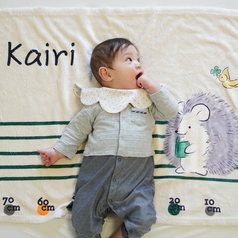 身長計付き 名前入りブランケット なかよしはりねずみ・本 出産祝いの
