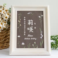 命名書 お七夜 刺繍 命名式 フレーム入り タンドレスフラワーズ（ブラウン生地）