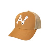 AN bone 3D logo mesh cap