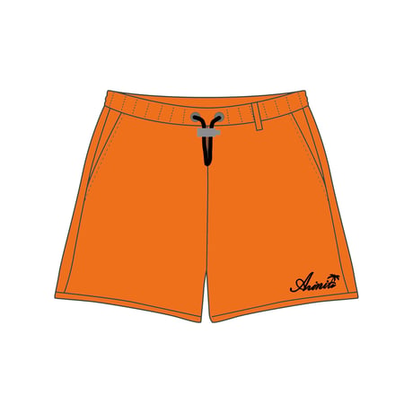 Palmtree logo swim shorts