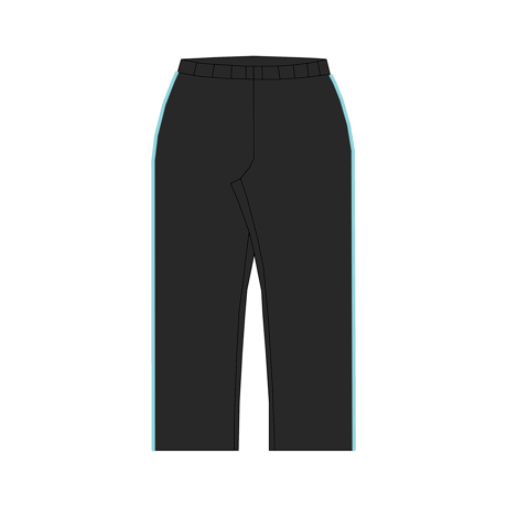 Satin pajamas pants (blue)
