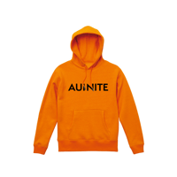 AUI NITE logo hoodie