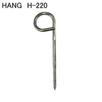 869564：HANG　クローム　Hｰ220
