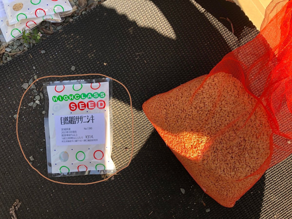 令和6年 自然栽培米 玄米、白米 ササニシキ | はせがわ農園